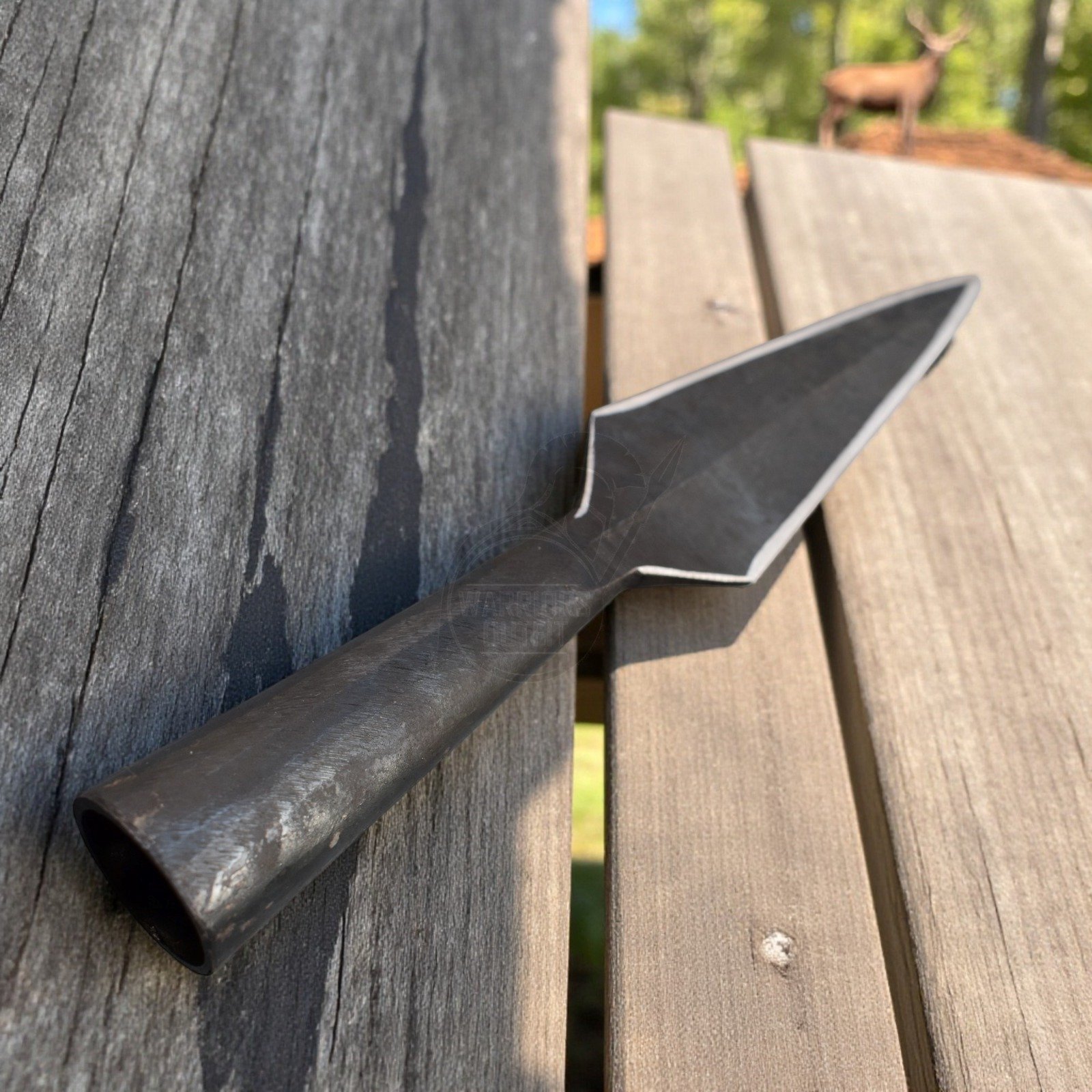 WhatsApp Image 2026-04-06 at 13.34.58 (3)